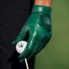 imageCallaway Golf Tour Authentic GloveGreen