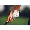 imageCallaway Golf Fusion GloveWhiteSilver