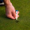 imageCallaway Par Tee Plastic Golf TeesAssorted