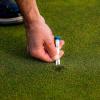 imageCallaway Par Tee Plastic Golf TeesAssorted