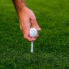 imageCallaway Par Tee Plastic Golf TeesAssorted