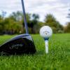 imageCallaway Par Tee Plastic Golf TeesAssorted